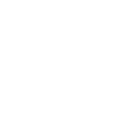 i-green-icon