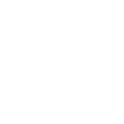 modo-icon