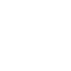 prada-icon